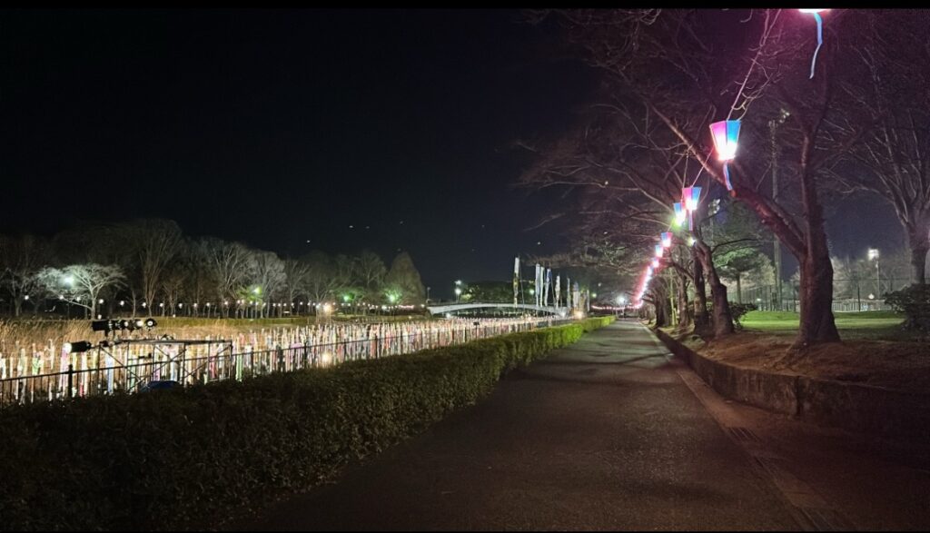 マラソン　トレーニング　夏